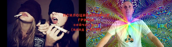 ECSTASY Карталы
