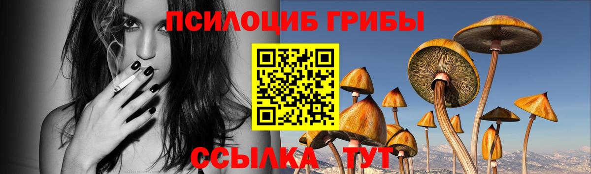 Норильск  Псилоцибиновые грибы Psilocybe  Вход с VPN 