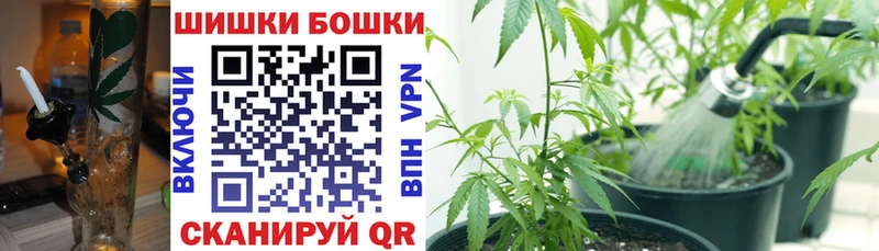 купить наркотики цена  Норильск  Бошки марихуана тримм 